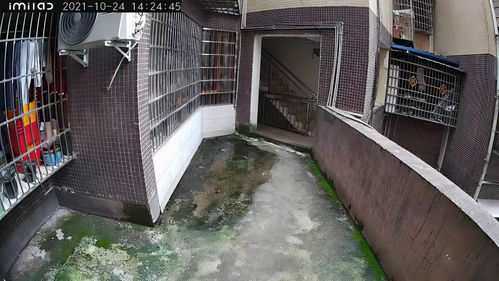 小白別墅攝像頭體驗 太陽能供電，無限續航，告別布線煩惱